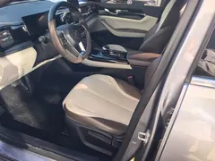 2023 BYD Qin PLUS Champion DM-i PHEV 55KM Leading — фото 9