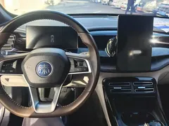 2023 BYD Qin PLUS Champion DM-i PHEV 55KM Leading — фото 12