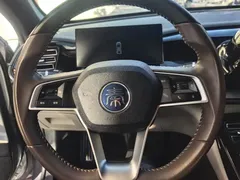 2023 BYD Qin PLUS Champion DM-i PHEV 55KM Leading — фото 15