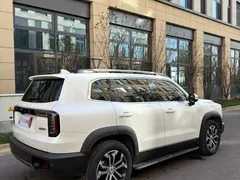 2021 Haval Dargo 1.5T DCT 2WD Border Collie, белый — фото 8