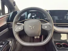 2025 Hongqi EH7 640 4WD — фото 17