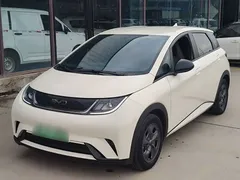 2024 BYD Dolphin EV 302km Honor Vitality — фото 1