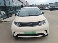 2024 BYD Dolphin EV 302km Honor Vitality — фото 3