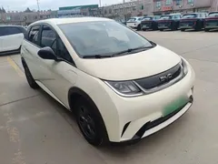 2024 BYD Dolphin EV 302km Honor Vitality — фото 4