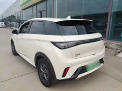 2024 BYD Dolphin EV 302km Honor Vitality — фото 5