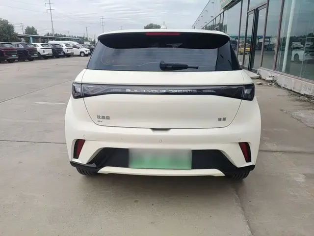 2024 BYD Dolphin EV 302km Honor Vitality