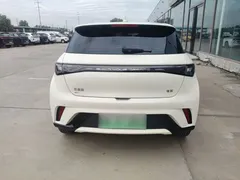 2024 BYD Dolphin EV 302km Honor Vitality — фото 6