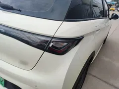 2024 BYD Dolphin EV 302km Honor Vitality — фото 8