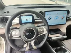 2024 BYD Dolphin EV 302km Honor Vitality — фото 10