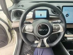 2024 BYD Dolphin EV 302km Honor Vitality — фото 11