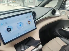 2024 BYD Dolphin EV 302km Honor Vitality — фото 13