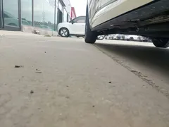 2024 BYD Dolphin EV 302km Honor Vitality — фото 21