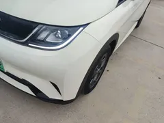 2024 BYD Dolphin EV 302km Honor Vitality — фото 24