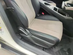 2024 BYD Dolphin EV 302km Honor Vitality — фото 25