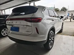 2023 Haval H6 1.5T AT Guochao Urban, белый — фото 14