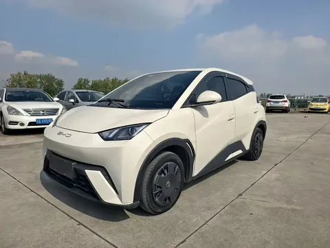 2023 BYD Seagull Vitality