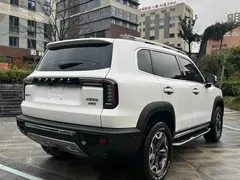 2022 Haval Dargo 2.0T DCT 4WD, белый — фото 4
