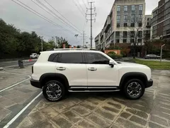 2022 Haval Dargo 2.0T DCT 4WD, белый — фото 10