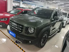 2022 Haval Dargo 2.0T DCT 4WD Chinese Rural Dog Edition, зелёный — фото 1