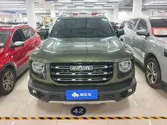 2022 Haval Dargo 2.0T DCT 4WD Chinese Rural Dog Edition, зелёный — фото 2