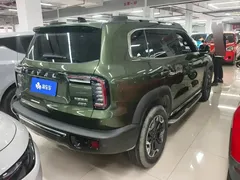 2022 Haval Dargo 2.0T DCT 4WD Chinese Rural Dog Edition, зелёный — фото 3