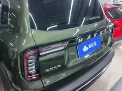 2022 Haval Dargo 2.0T DCT 4WD Chinese Rural Dog Edition, зелёный — фото 4
