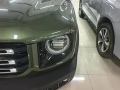 2022 Haval Dargo 2.0T DCT 4WD Chinese Rural Dog Edition, зелёный — фото 5