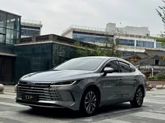 2023 BYD Destroyer 05 Champion DM-i PHEV 55km Luxury — фото 1