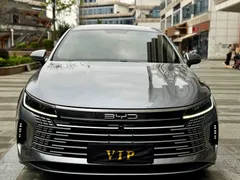 2023 BYD Destroyer 05 Champion DM-i PHEV 55km Luxury — фото 2