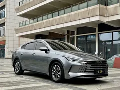 2023 BYD Destroyer 05 Champion DM-i PHEV 55km Luxury — фото 3