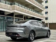2023 BYD Destroyer 05 Champion DM-i PHEV 55km Luxury — фото 8