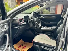 2023 BYD Destroyer 05 Champion DM-i PHEV 55km Luxury — фото 11