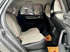 2023 BYD Destroyer 05 Champion DM-i PHEV 55km Luxury — фото 14
