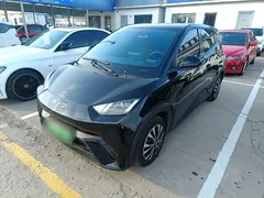2024 BYD Seagull Honor 305km Vitality, чёрный — фото 1