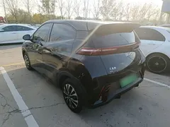 2024 BYD Seagull Honor 305km Vitality, чёрный — фото 5