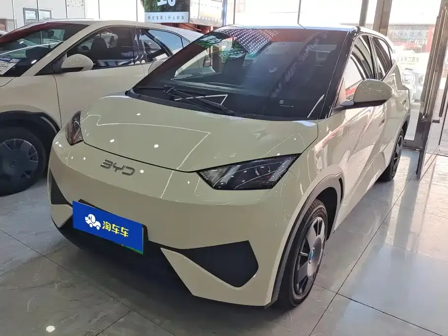 2025 BYD Seagull EV 305km
