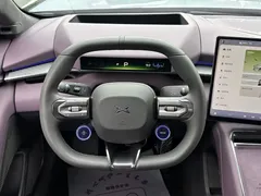 2025 Xpeng P7 750 4WD High Performance Ultra — фото 19