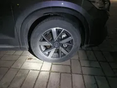 2023 BYD Song Pro DM-i PHEV 110KM Champion — фото 8