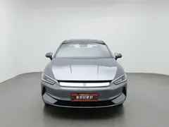 2023 BYD Qin PLUS Champion EV 510km — фото 3