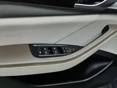 2023 BYD Qin PLUS Champion EV 510km — фото 9