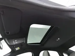 2023 BYD Qin PLUS Champion EV 510km — фото 14
