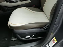 2023 BYD Qin PLUS Champion EV 510km — фото 20