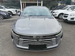 2024 BYD Destroyer 05 DM-i PHEV 55km Luxury — фото 3