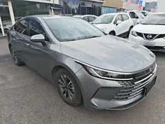 2024 BYD Destroyer 05 DM-i PHEV 55km Luxury — фото 4