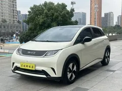 2023 BYD Dolphin 420km Fashion — фото 1