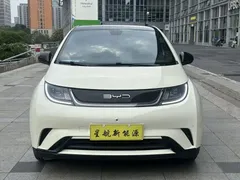 2023 BYD Dolphin 420km Fashion — фото 2