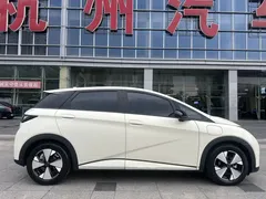 2023 BYD Dolphin 420km Fashion — фото 4