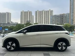 2023 BYD Dolphin 420km Fashion — фото 5