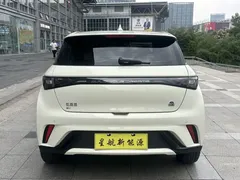 2023 BYD Dolphin 420km Fashion — фото 8
