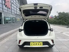 2023 BYD Dolphin 420km Fashion — фото 9